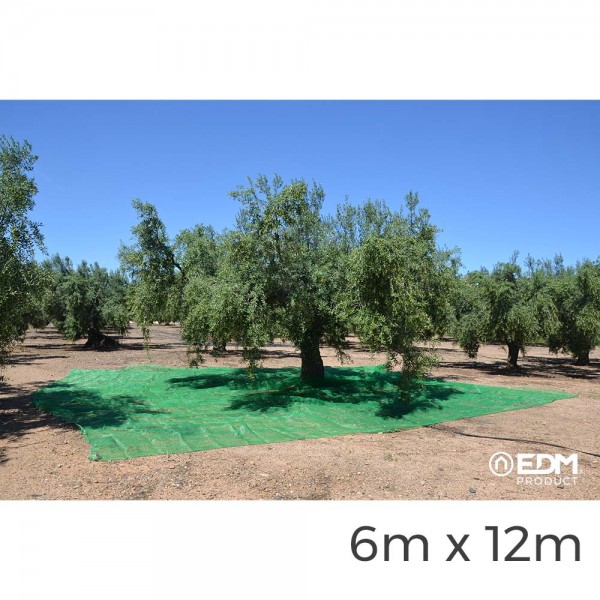 Manto para recolecta de frutos 6x12m color verde