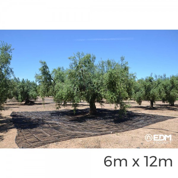 Manto para recolecta de frutos 6x12m color negro Manto para recolecta de frutos 6x12m color negro