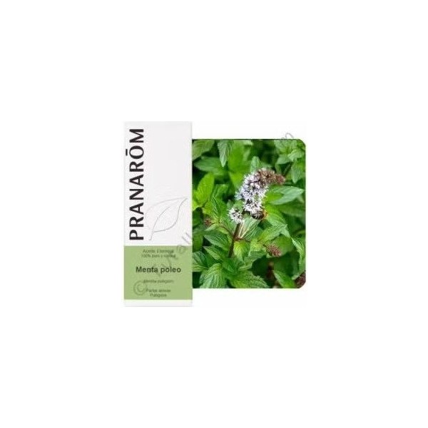 Menta Poleo Aceite Esencial Alimentario 10Ml.